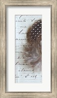 Plume Feathers V Crop II Fine Art Print