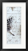Plume Feathers V Crop I Framed Print