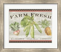 Farm Fresh Fine Art Print