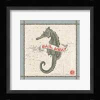 Drift Away Seahorse Framed Print