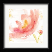 Breeze Bloom V Framed Print