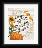 Harvest Delight III on White Framed Print