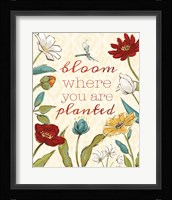Spice Beauties VII Framed Print