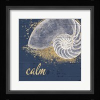 Calm Seas IX Framed Print