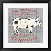 Farmers Market XI Framed Print