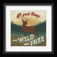 Discover the Wild VI Framed Print