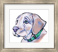 Puppy Fine Art Print