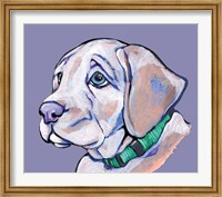 Puppy II Fine Art Print