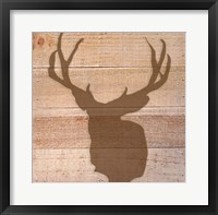 Deer I Fine Art Print