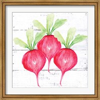 Farm Fresh Radishes Fine Art Print