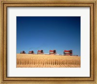 1970s Five Massey Ferguson Combines Harvesting Wheat Nebraska Usa Fine Art Print