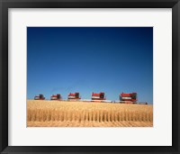 1970s Five Massey Ferguson Combines Harvesting Wheat Nebraska Usa Fine Art Print