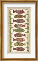 Wild Fish II Fine Art Print