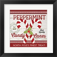 Candy Canes Fine Art Print