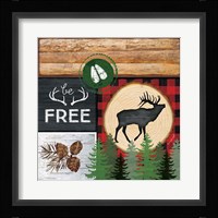 Free Framed Print