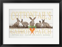 Cottontail's Carrot Patch Fine Art Print