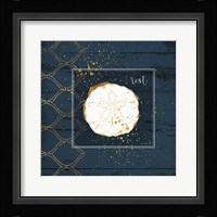 Rest Sanddollar Framed Print