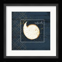 Refresh Shell Framed Print