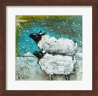 Two Sheep Fine Art Print