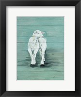 Lamb Fine Art Print