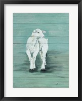 Lamb Framed Print