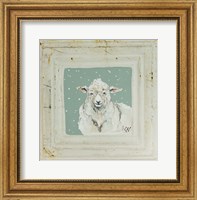White Sheep Fine Art Print