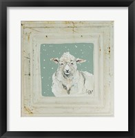 White Sheep Framed Print