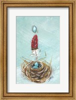 Robin Fine Art Print