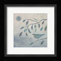 Display of His Splendor Fine Art Print