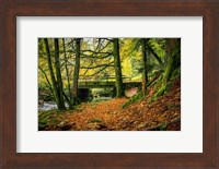 Black Forest River Bridge Fine Art Print