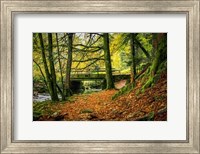 Black Forest River Bridge Fine Art Print