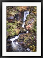 Black Forest Upper Falls Fine Art Print