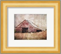 Red Shed Fine Art Print