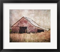 Red Shed Fine Art Print