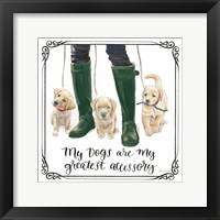 Furry Fashion Friends I My Dogs Framed Print