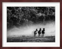 Horse country Fine Art Print
