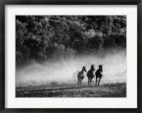 Horse country Fine Art Print