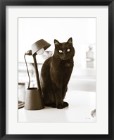 Lights Cat Action Framed Print