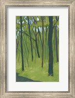Spring Woods Dark Green Fine Art Print