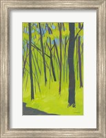 Spring Woods Fine Art Print