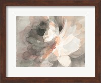 Abstract Peony Fine Art Print