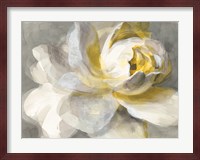 Abstract Rose Fine Art Print