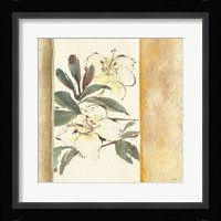 Ochre Rhododendron Fine Art Print
