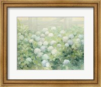 Hydrangea Lane Fine Art Print