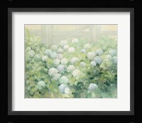 Hydrangea Lane Fine Art Print