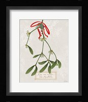 Joyful Tidings V Framed Print
