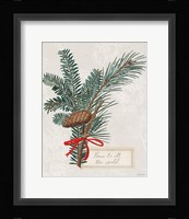 Joyful Tidings IV Framed Print