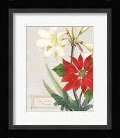 Joyful Tidings II Framed Print
