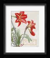 Joyful Tidings I Framed Print