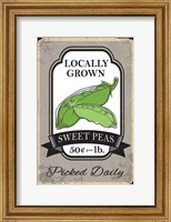 Sweet Peas Fine Art Print